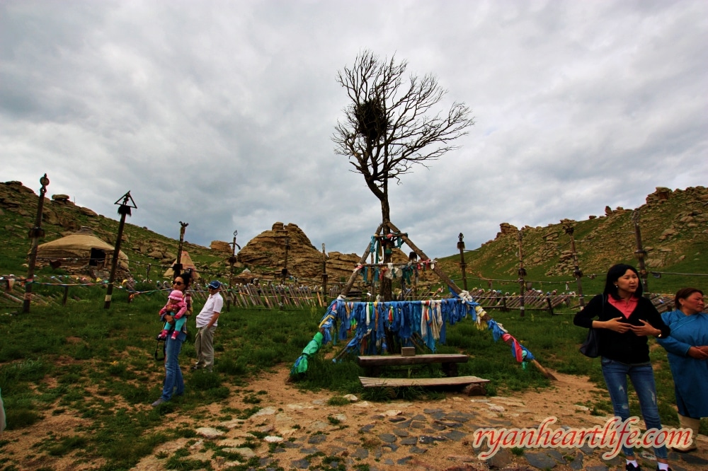 【蒙古旅遊】《外蒙古8日遊2014年》