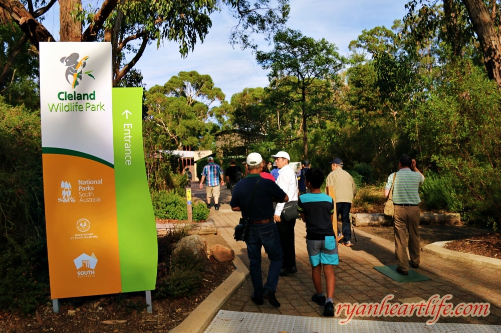 澳洲旅遊：阿得雷德景點-克萊蘭德野生動物園、漢道夫德國村