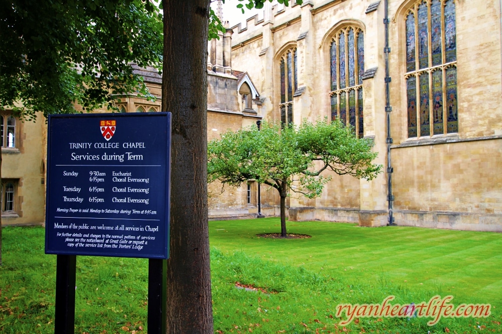 英國旅遊：劍橋大學撐篙遊船體驗及校區觀光