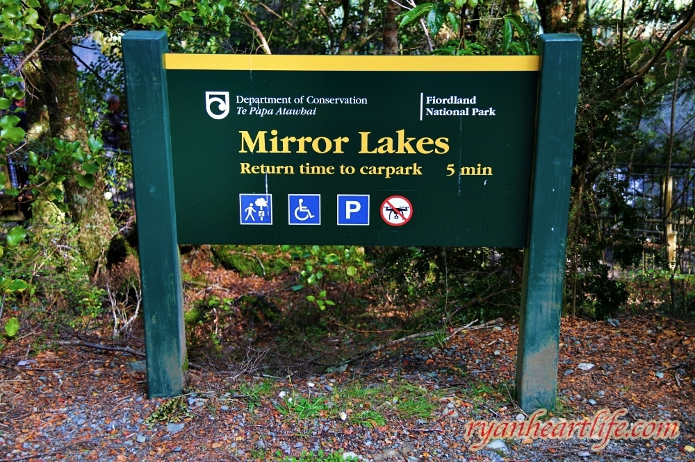 米佛峽灣之旅～蒂阿瑙湖／鏡湖／水穿石（Milford Sound／Lake Te Anau／Mirror Lake／The Chasm）