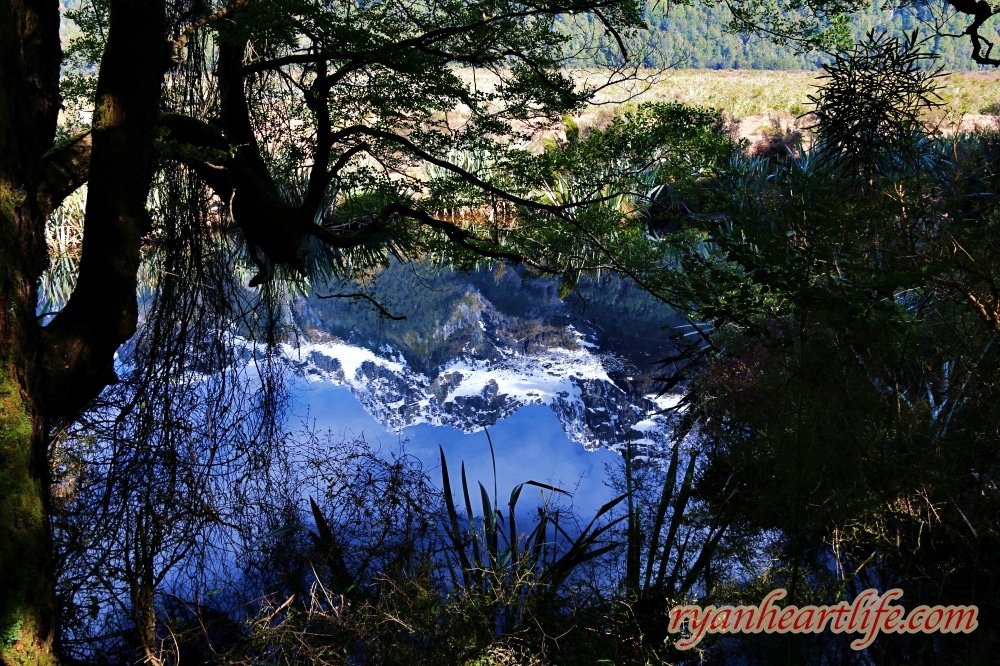 米佛峽灣之旅～蒂阿瑙湖／鏡湖／水穿石（Milford Sound／Lake Te Anau／Mirror Lake／The Chasm）