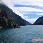 【紐西蘭9日旅遊2018年DAY4】南島旅遊—米爾福德國家公園:米佛峽灣之旅~蒂阿瑙湖/鏡湖/水穿石(Milford Sound/Lake Te Anau/Mirror Lake/The Chasm) 2018image208