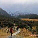 【紐西蘭9日旅遊2018年DAY5】南島旅遊—克倫威爾/庫克山國家公園/奧馬拉馬(Cromwell/Aoraki/Mount Cook National Park/Omarama) 2018image284