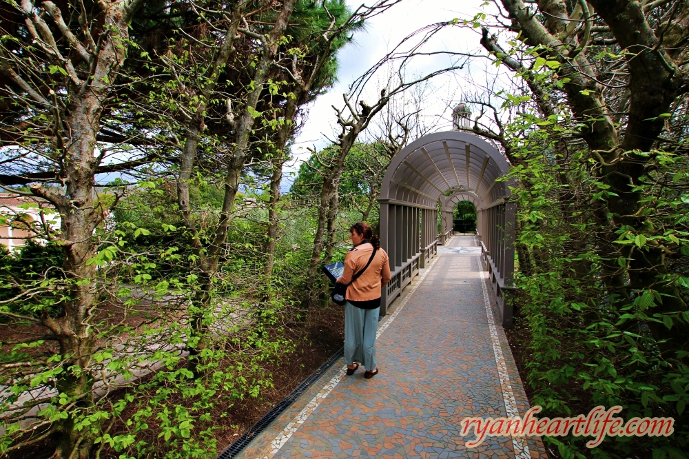 北島旅遊—奧克蘭旅遊：漢米爾頓花園／懷托莫螢火蟲洞穴