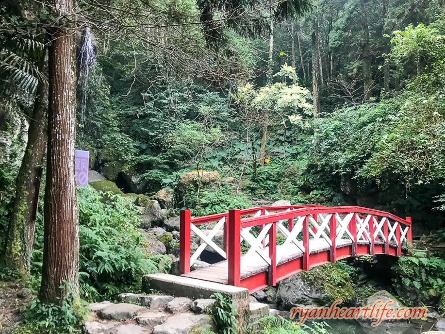 【新竹關西旅遊景點】《馬武督探索森林》