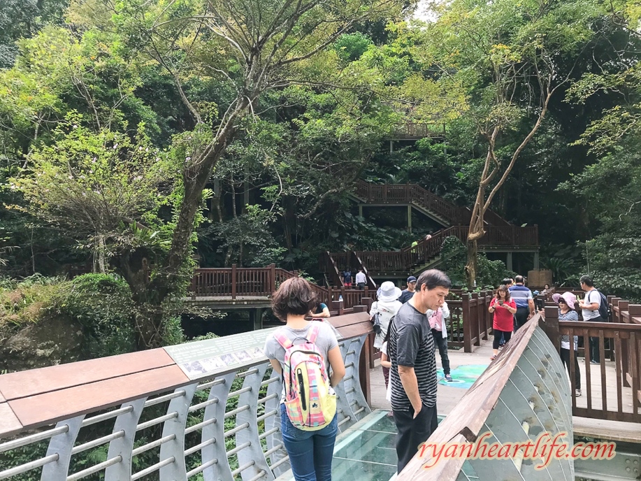 【新竹尖石鄉旅遊景點】《青蛙石天空步道》
